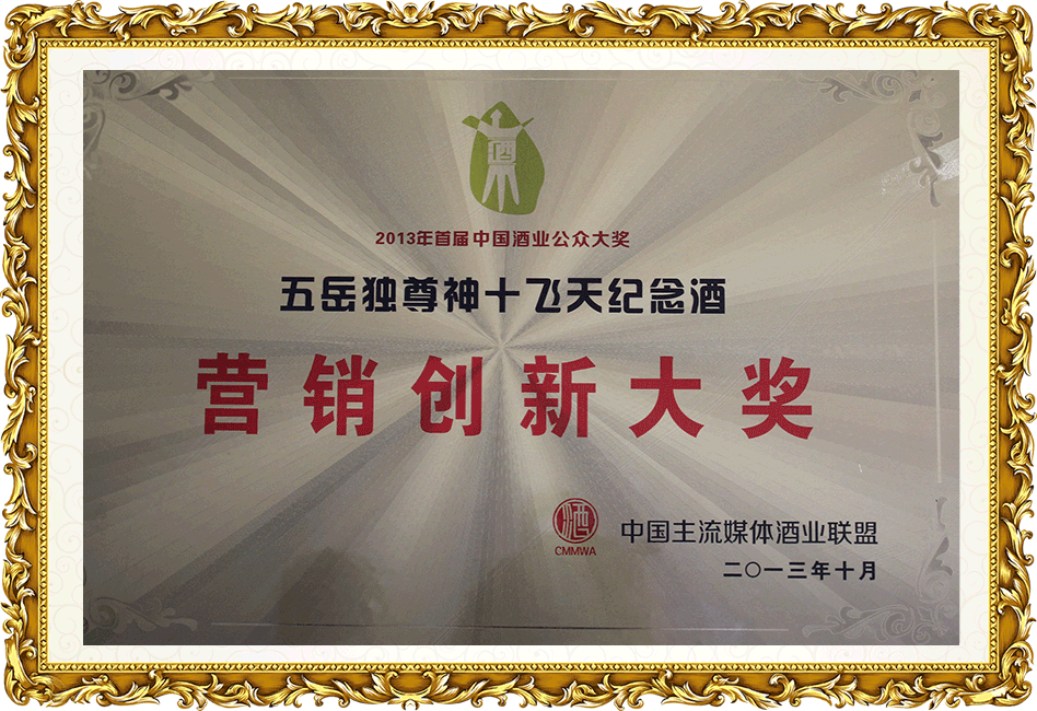 五岳獨(dú)尊—營銷創(chuàng)新大獎(jiǎng)